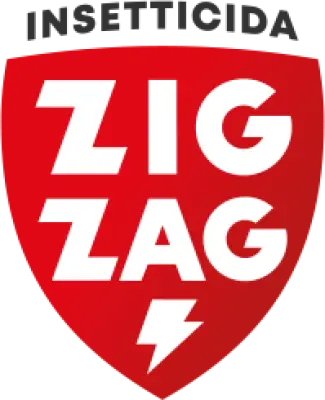Zig Zag
